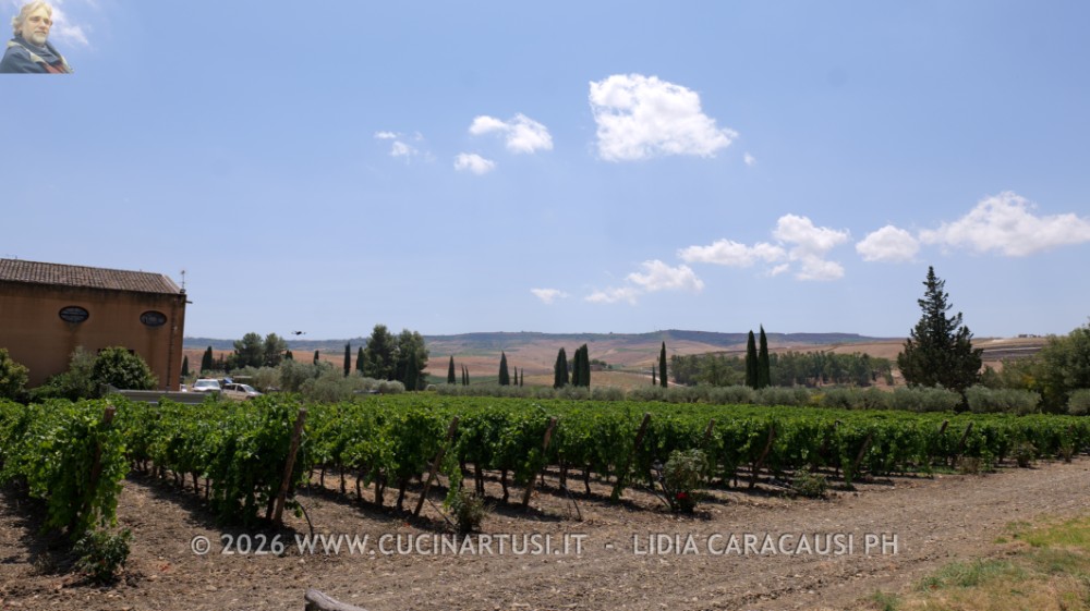 Cantina Donnafugata a Contessa Entellina